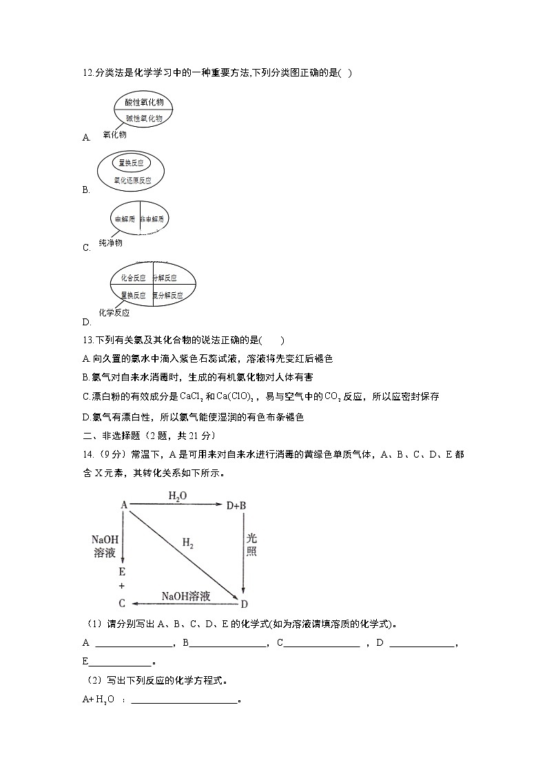 2022-2023学年初升高人教版（2019）超级衔接（12）结业检验第3页
