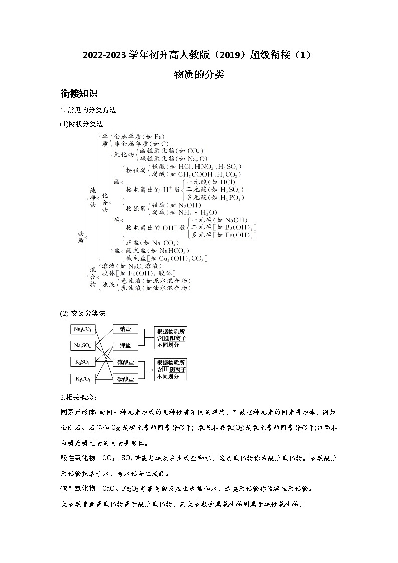 2022-2023学年初升高人教版（2019）超级衔接（1）物质的分类第1页