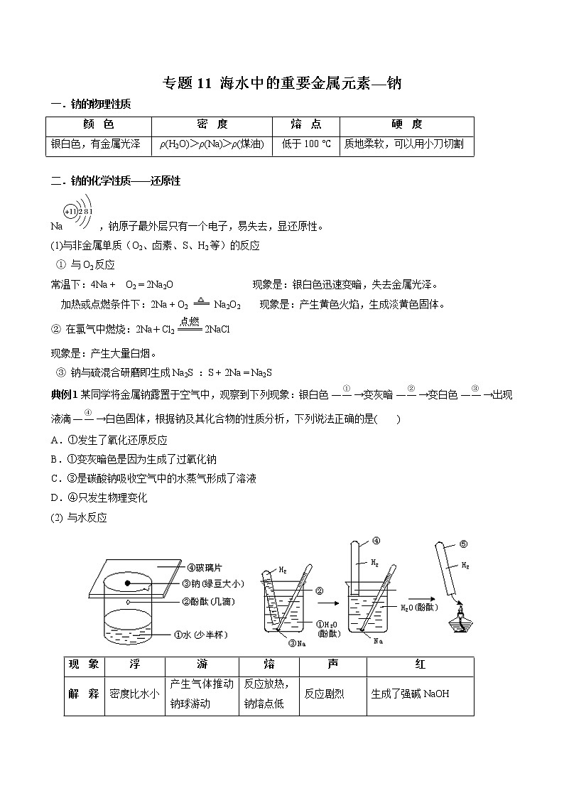 【最新】初升高高中化学衔接教材讲义专题11 海水中的重要金属元素—钠（讲解）01