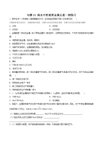 【最新】初升高高中化学衔接教材讲义专题11 海水中的重要金属元素—钠（练习）