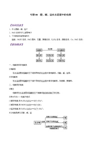 【最新版】初中升高高中化学衔接课程讲义专题08 酸、碱、盐在水溶液中的电离