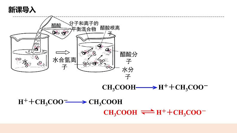 人教版化学选修一3.1.2《弱电解质的电离平衡》课件第3页