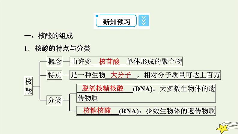 新教材高中化学第四章生物大分子第3节核酸课件新人教版选择性必修3第8页