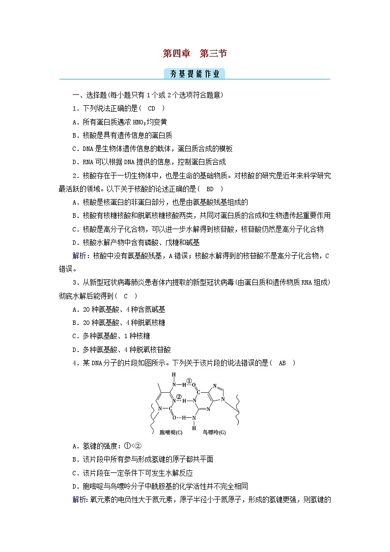 新教材高中化学第四章生物大分子第3节核酸夯基提能作业新人教版选择性必修3第1页