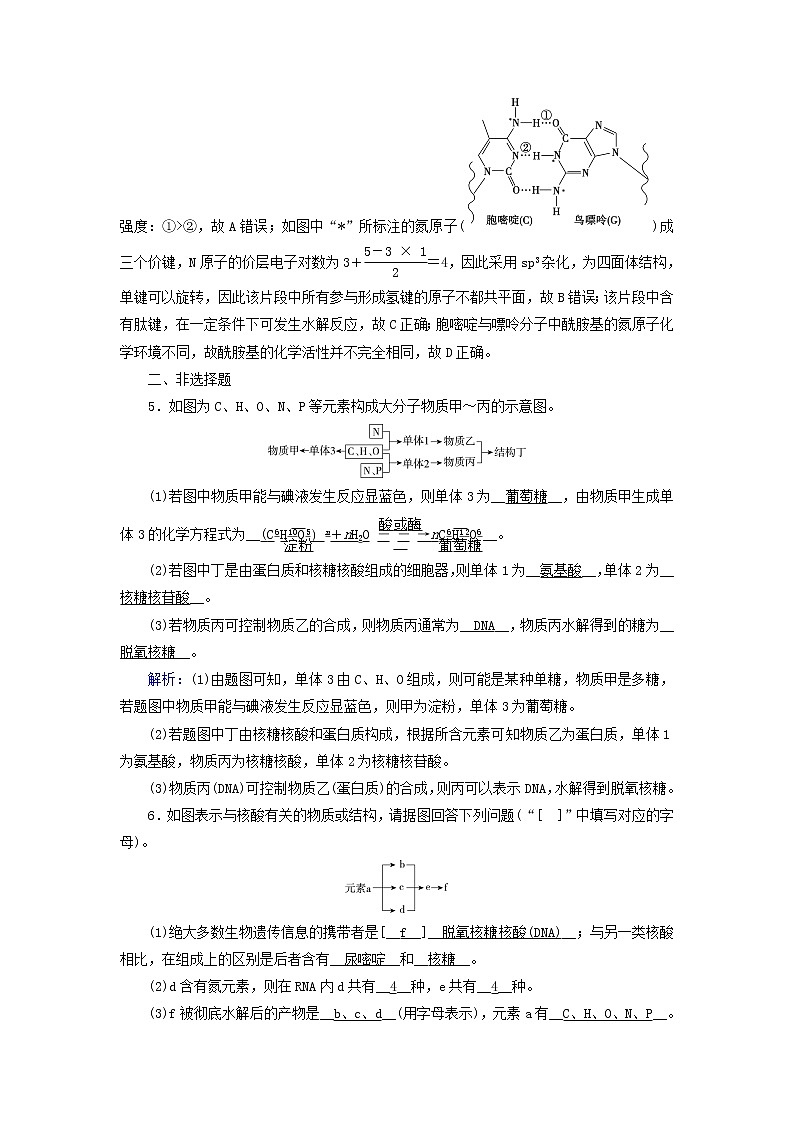 新教材高中化学第四章生物大分子第3节核酸夯基提能作业新人教版选择性必修3第2页