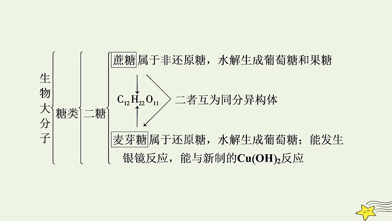 新教材高中化学第四章生物大分子章末素能提升课件新人教版选择性必修3第6页