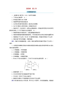 高中化学人教版 (2019)选择性必修3第三节 核酸课后作业题