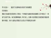 魯科版高中化學(xué)選擇性必修2第1章原子結(jié)構(gòu)與元素性質(zhì)第1節(jié)原子結(jié)構(gòu)模型PPT課件