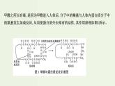 鲁科版高中化学选择性必修2第1章原子结构与元素性质微项目：甲醛的危害与去除__利用电负性分析与预测物质性质PPT课件