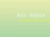 鲁科版高中化学必修第一册第1章认识化学科学微项目探秘膨松剂__体会研究物质性质的方法和程序的实用价值课件