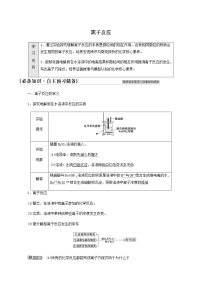 鲁科版 (2019)必修 第一册第2节 电解质的电离 离子反应学案设计