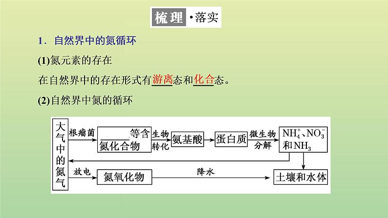 鲁科版高中化学必修第一册第3章物质的性质与转化第3节第1课时自然界中的氮循环氮气和氮的氧化物课件第4页