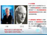 高中 高二 化学选择性必修3 第四章 第三节 核酸 教学课件