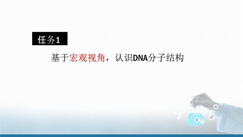 高中 高二 化学选择性必修3 第四章 第三节 核酸 教学课件第3页