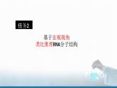 高中 高二 化学选择性必修3 第四章 第三节 核酸 教学课件