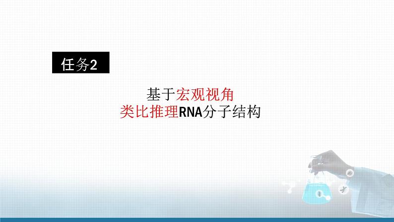 高中 高二 化学选择性必修3 第四章 第三节 核酸 教学课件第5页