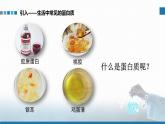 高中 高二 化学选择性必修3 第四章 第二节 氨基酸 蛋白质 酶 教学课件
