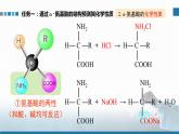 高中 高二 化学选择性必修3 第四章 第二节 氨基酸 蛋白质 酶 教学课件