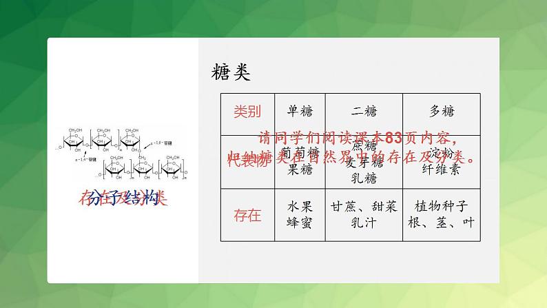 高中化学 必修第二册 《基本营养物质》 课件第7页