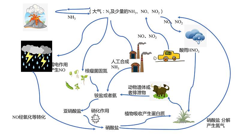 高中化学 必修第二册 《氮与氮的固定 一氧化氮和二氧化氮》 课件02