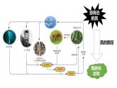 高中化学 必修第二册 《氮与氮的固定 一氧化氮和二氧化氮》 课件