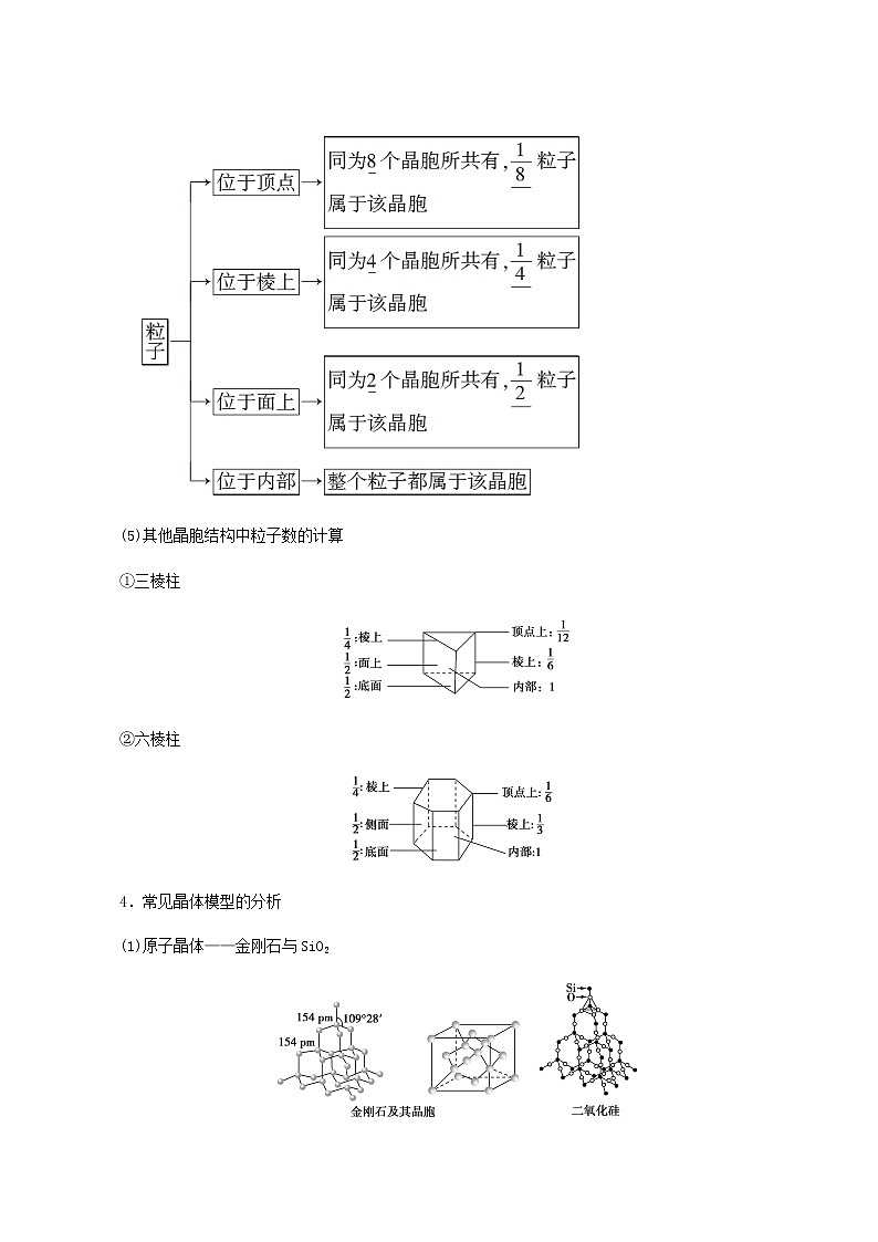 人教版高考化学一轮复习专题5物质结构与性质第3单元微粒间作用力与物质性质学案03
