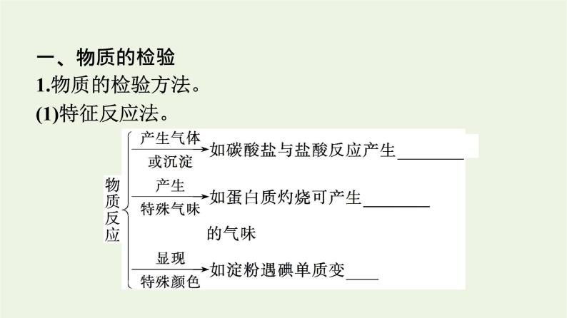 苏教版高中化学必修第一册专题2-研究物质的基本方法第1单元第2课时常见物质的检验及性质和变化探究课件04