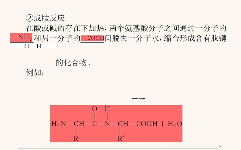 人教版高中化学选择性必修第三册第4章生物大分子2蛋白质核酸课件第8页