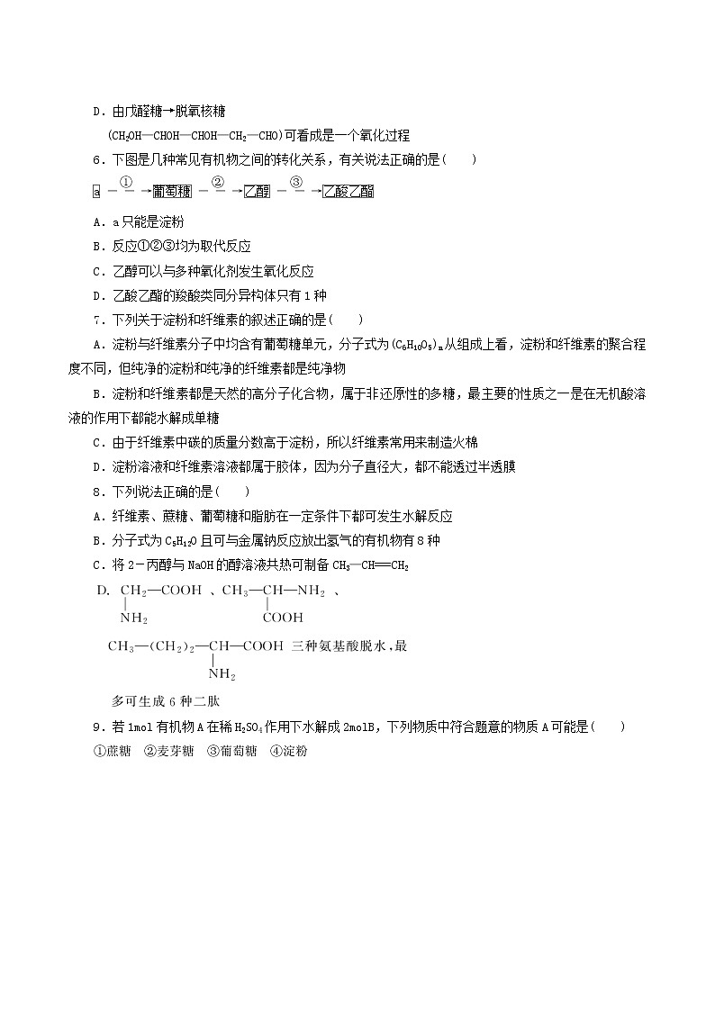 人教版高中化学选择性必修第三册第4章生物大分子达标测试含答案第2页
