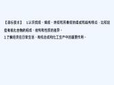 2023版创新设计高考化学（新教材鲁科版）总复习一轮课件第10章　有机化学基础