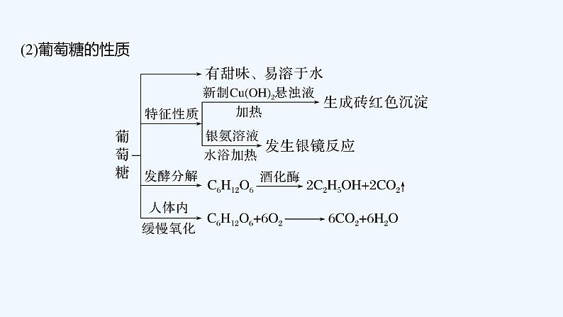 2023版创新设计高考化学（新教材苏教版）总复习一轮课件专题十 有机化学基础08