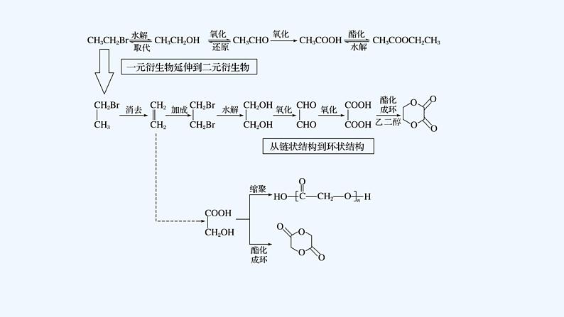 2023版创新设计高考化学（新教材苏教版）总复习一轮课件专题十 有机化学基础03