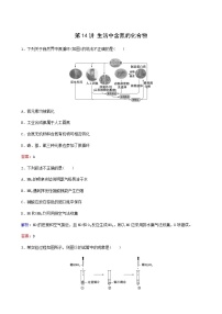 苏教版高考化学一轮复习专题练4非金属及其化合物第14讲生活中含氮的化合物含答案