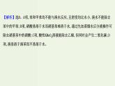 魯科版高中化學選擇性必修3第1章有機化合物的結構與性質烴單元評價課件