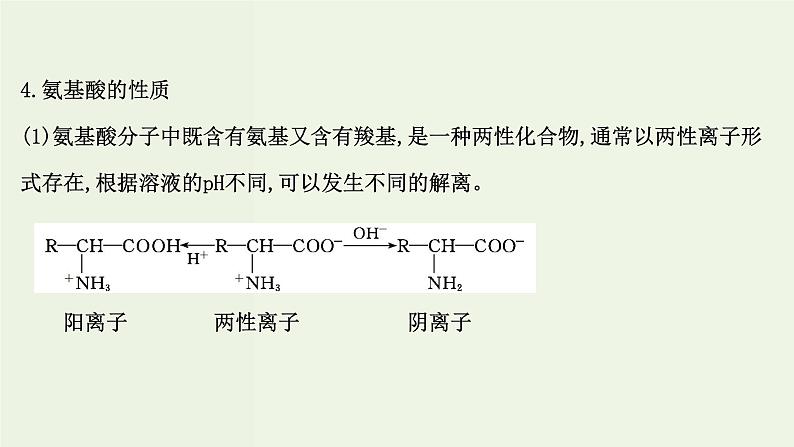 鲁科版高中化学选择性必修3第2章官能团与有机化学反应烃的衍生物4.2氨基酸和蛋白质课件05