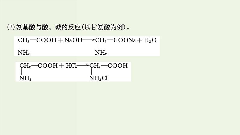 鲁科版高中化学选择性必修3第2章官能团与有机化学反应烃的衍生物4.2氨基酸和蛋白质课件06