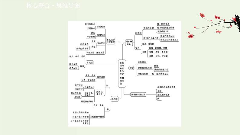 鲁科版高中化学选择性必修3第2章官能团与有机化学反应烃的衍生物阶段复习课课件02