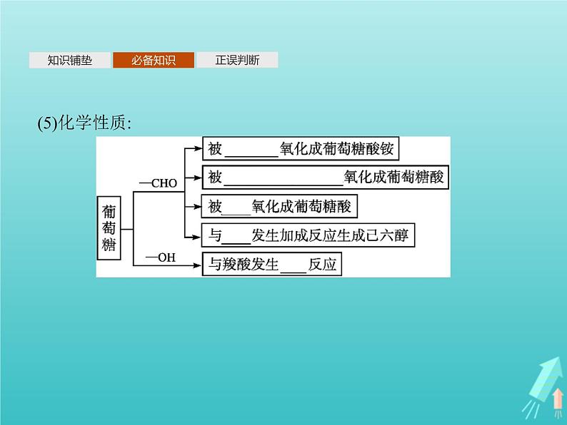 鲁科版高中化学选择性必修3第2章官能团与有机化学反应烃的衍生物第3节第2课时糖类和核酸课件06