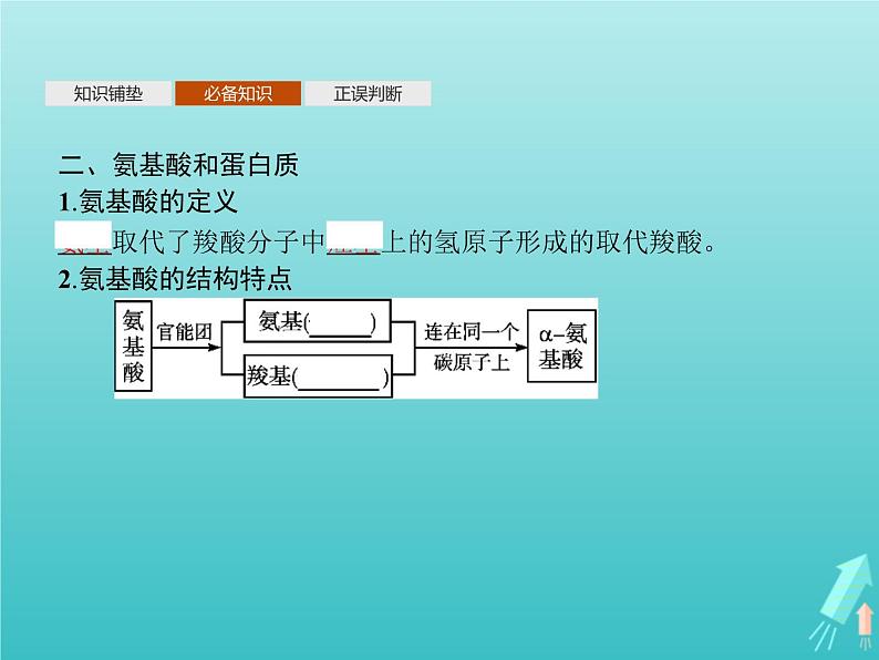 鲁科版高中化学选择性必修3第2章官能团与有机化学反应烃的衍生物第4节第2课时酰胺氨基酸和蛋白质课件06