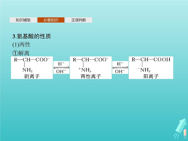 鲁科版高中化学选择性必修3第2章官能团与有机化学反应烃的衍生物第4节第2课时酰胺氨基酸和蛋白质课件07