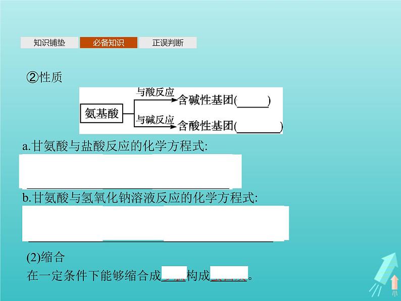 鲁科版高中化学选择性必修3第2章官能团与有机化学反应烃的衍生物第4节第2课时酰胺氨基酸和蛋白质课件08