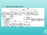 魯科版高中化學選擇性必修3第2章官能團與有機化學反應烴的衍生物本章整合課件