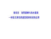 微項目 海帶提碘與海水提溴——體驗元素性質(zhì)遞變規(guī)律的實際應(yīng)用 課件 2022-2023學(xué)年高一化學(xué)魯科版（2019）必修第二冊