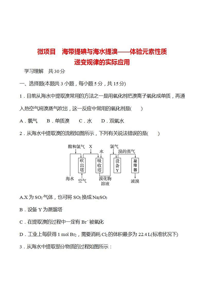 微项目 海带提碘与海水提溴——体验元素性质递变规律的实际应用 强化练习2022-2023学年高一下学期化学鲁科版（2019）必修第二册01