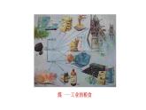 3.2.3煤的干馏与苯 课件 2022-2023学年高一化学鲁科版（2019）必修第二册