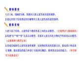 1.3.2 研究同主族元素的性质 课件 2022-2023学年高一化学鲁科版（2019）必修第二册