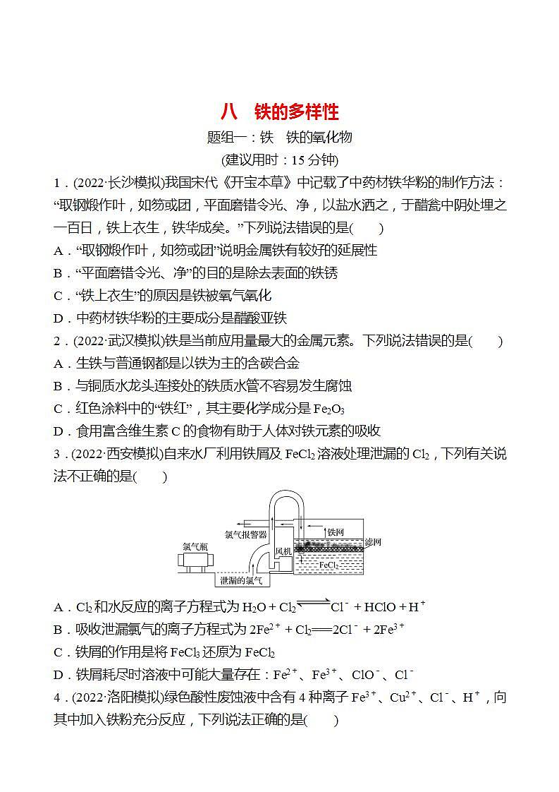鲁科版 2023高考化学 一轮复习 八 铁的多样性 课时练习 （学生版）第1页