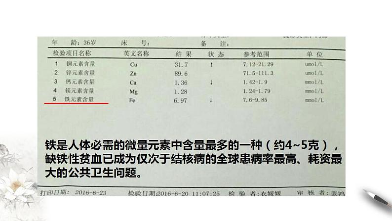 高中化学必修一 3.1.1 铁的单质 铁的氧化物课件02