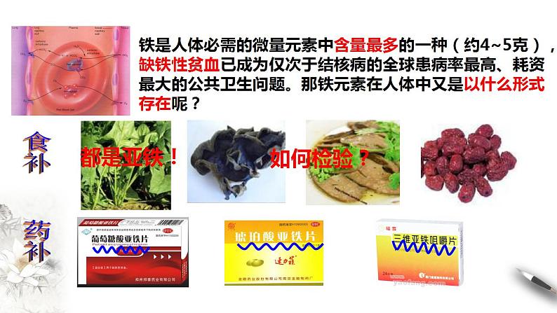 高中化学必修一 3.1.2 铁的氢氧化物  铁盐和亚铁盐课件第2页