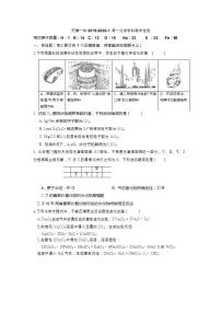 高中化学必修一 天津市第一中学2020学年高一上学期期末考试化学试题